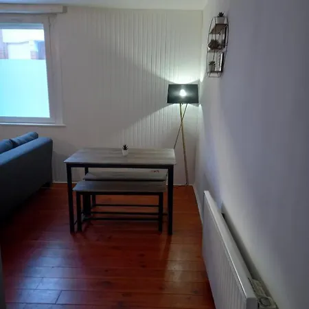 ☆ Apt T2 En Rdc Cosy En Plein Centre De Carmaux ☆ *